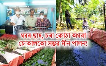 গুৱাহাটীত নগৰীয়া মীন পালনঃ ঘৰৰ ছাদ, চৰা কোঠা অথবা চোতালত মৎস উৎপাদন!