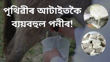 গাধৰ গাখীৰৰ পৰা তৈয়াৰ কৰা হয় পৃথিৱীৰ আটাইতকৈ ব্যয়বহুল পনীৰ!