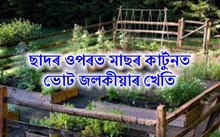 আপোনাৰ ঘৰটো সৌন্দৰ্যশালী কৰাৰ লগতে উপাৰ্জনৰ এটা নতুন পথ দিব
