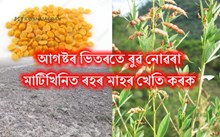 খৰাঙৰ বাবে আপুনি ৰুৱ নোৱাৰিলে নেকি! চিন্তা নকৰিব।