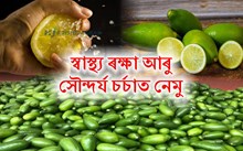 Lemon: স্বাস্থ্য ৰক্ষা আৰু সৌন্দৰ্য চর্চাত নেমু