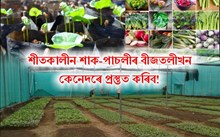 শীতকালীন শাক-পাচলীৰ বীজতলী, পুলি ৰোপন আৰু কেইটামান মন কৰিবলগীয়া কথা