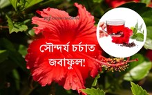 Hibiscus: স্বাস্থ্য ৰক্ষা আৰু সৌন্দৰ্য চর্চাত জবাফুল! Hibiscus: স্বাস্থ্য ৰক্ষা আৰু সৌন্দৰ্য চর্চাত জবাফুল!