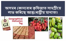 GI TAG কি? অসমৰ কোনবোৰ কৃষিজাত সামগ্ৰীয়ে লাভ কৰিছে আন্তঃৰাষ্ট্ৰীয় মান্যতা!