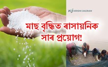 মীন পালনত ৰাসায়নিক সাৰ প্ৰয়োগ আৰু পাৰ্শক্ৰিয়া