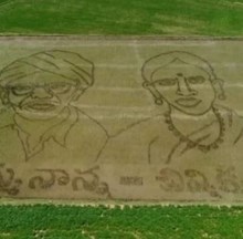 ধান খেতিৰে ছবি আঁকি পিতৃ-মাতৃক শ্ৰদ্ধাঞ্জলি কৃষকৰ