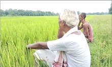 ৰাজ্যত খৰাং। নেদেখাজনৰ ওচৰত প্ৰাৰ্থনা কৃষকৰ নগাঁৱৰ কৃষকৰ