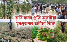 ১ কিঃগ্ৰাঃ ধানৰ দাম ১৩ টকা। ১ কেজি তিয়ঁহৰ দাম ৪০ টকা। অথচ আমি ধান খেতিয়েই কৰিম!