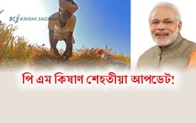 Good News for Farmers: শীঘ্ৰেই লাভ কৰিব পি-এম কিষাণ আচঁনিৰ দ্বাদশ কিস্তিৰ ধন?