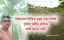 শিক্ষিত যুৱক নয়ন শৰ্মাৰ কৃষিকৰ্ম