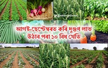 বৰষুণৰ পৰিমাণ কমাৰ লগে লগে কৰিব পৰা কিছুমান খেতি