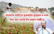 গুজৰাটত নিৰ্বাচনী ধুমুহা। লগতে বাঢ়িছে প্ৰতিশ্ৰুতিৰ বন্যা। 