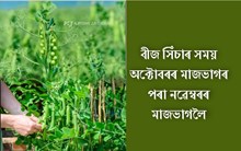 অসমত প্ৰয়োজন হোৱা  ৯০ শতাংশ মটৰ মাহেই আহে বহিঃৰাজ্যৰ পৰা!