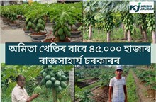 এজোপা অমিতা গছে এবাৰত ৪০ কেজি পৰ্যন্ত ফল দিয়ে