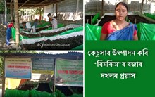 বাক্সাত নিজৰ স্বকীয় কৰ্মসংস্কৃতিৰে উজলিছে ৬ গৰাকী মহিলা