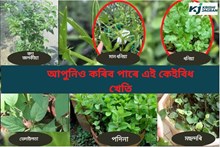 আপুনিও কৰক ঘৰতে এই কেইবিধ খেতি