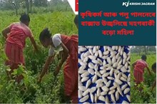 কৃষিকৰ্ম আৰু পলু পালনেৰে বাক্সাত উজ্বলিছে দহগৰাকী বড়ো মহিলা