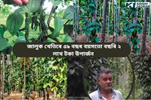 জালুক খেতিৰে ৫৯ বছৰ বয়সতো বছৰি ২ লাখ টকা উপাৰ্জন 