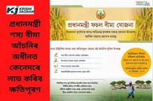 প্ৰধানমন্ত্ৰী শস্য বীমা আঁচনিৰ অধীনত আপুনি লাভ কৰিব নে ক্ষতিপূৰণ!