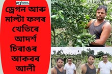 চিৰাঙত ড্ৰেগন আৰু মাল্টা ফলৰ খেতি কৰিছে আকবৰ আলীয়ে