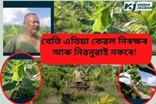 বাক্সাত বিপিএফ নেতা বনমালী বড়োৰ কৃষিবিপ্লৱ
