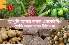 বিশ্ব বজাৰত বাঢ়িছে অসমৰ কেতবোৰ কৃষিজাত সামগ্ৰীৰ চাহিদা