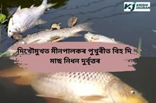 দিখৌমুখত মীনপালকৰ পুখুৰীত বিহ দিলে দুৰ্বৃত্তই