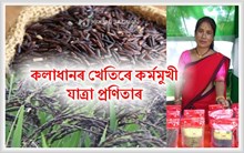 কলাধানৰ খেতিৰে কৰ্মমুখী যাত্ৰা প্ৰণিতা উজীৰৰ