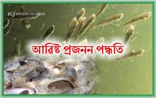 কাৰ্প মাছৰ আৱিষ্ট প্ৰজনন পদ্ধতি