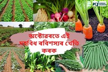 অক্টোৱৰতে এই দহবিধ ৰবিশস্যৰ খেতি কৰক