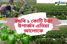 পেপচিকামে ভাগ্য সলনি কৰিলে পলিঅ’ ৰোগী আলোকৰ