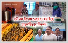 মৌ পালনেৰে মধুময় হৈছে খনীন, ৰূপমহঁতৰ জীৱন