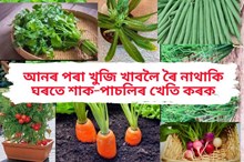 আহল-বহল নহ’লেও কম পৰিসৰতে কৰিব পাৰিব ঘৰতে খাবলৈ