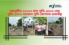 কি চলি আছে গৰুখুঁটি প্ৰকল্পত!