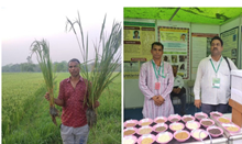 থলুৱা বীজৰ সৈতে ১৫০০ কৃষকৰ জীৱন সলনি কৰিলে কৃষক সুদাম চাহুৱে