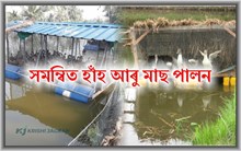 Integrated farming: সমন্বিত হাঁহ আৰু মাছ পালন Integrated farming: সমন্বিত হাঁহ আৰু মাছ পালন