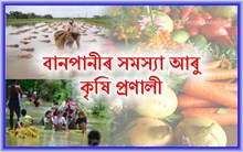 বানপানীৰ সমস্যা আৰু কৃষি প্ৰণালী