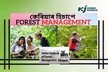 স্নাতক ডিগ্ৰীধাৰীসকলে ক’ত, কেনেদৰে অধ্যয়ন কৰিব পাৰিব Forest Management ৰ পাঠ্যক্ৰম!