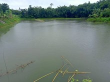 মাছ পালনেৰে স্বচ্ছল জীৱন-যাপন ধেমাজিৰ বাবা চমুৱাৰ