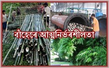 অসমৰ  বাঁহ উদ্যোগ আৰু  নিৱনুৱাসকলৰ বাবে সংস্হাপনৰ সম্ভাৱনীয়তা