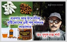 ব্যৱসায় আৰু উদ্যোগিক দৃষ্টিকোণেৰে এৰী পলু পালনৰ লাভালাভ