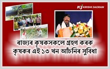 বহু কৃষকে সফলতা লাভ কৰিছে এই আঁচনিসমূহৰ সুবিধা লাভ কৰি