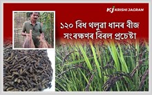 কৃষি কৰ্মৰ জৰিয়তে জিলিকি উঠিছে খনামুখৰ কৃষক দ্বীপেন বৰুৱা