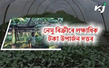  কৃষি কৰ্মৰে উজলিছে চৰাইদেউৰ প্ৰশান্ত দত্ত,  নেমু বিক্ৰীৰে উপাৰ্জন লক্ষাধিক টকা!