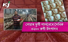 লেয়াৰ মুৰ্গী পালনেৰে দৈনিক ৩২০০ কণী উৎপাদন শিৱসাগৰৰ পৱন কোঁৱৰৰ