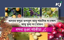 অসমৰ থলুৱা ফল-মূল আৰু পাচলিৰ সংৰক্ষণ আৰু মূল্য সংযোজন