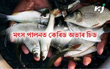 Fish Farming Guide: মৎস পালনত কেৰিড অভাৰ চিড Fish Farming Guide: মৎস পালনত কেৰিড অভাৰ চিড
