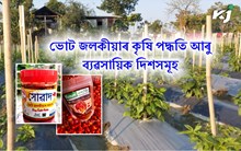 ভোট জলকীয়াৰ কৃষি পদ্ধতি আৰু ব্যৱসায়িক দিশসমূহ