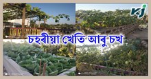 চহৰ বাসিন্দাসকলে ঘৰতে  এনেদৰে পাতিব পাৰে এখন পাচলিৰ বাৰী