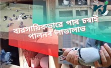 কম মুলধনেৰে ঘৰতে কৰিব পৰা লাভজনক ব্যৱসায় কম মুলধনেৰে ঘৰতে কৰিব পৰা লাভজনক ব্যৱসায়